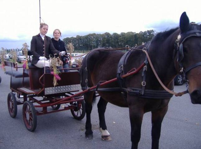 Location de calèche, mariage, balade